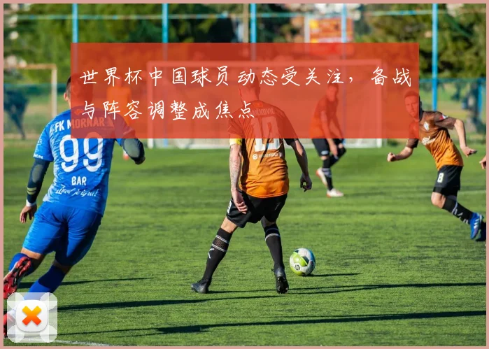 世界杯中国球员动态受关注,备战与阵容调整成焦点